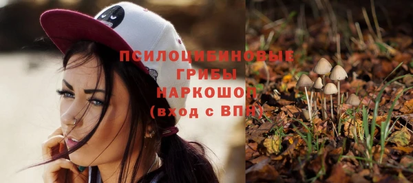 дурь Верхний Тагил